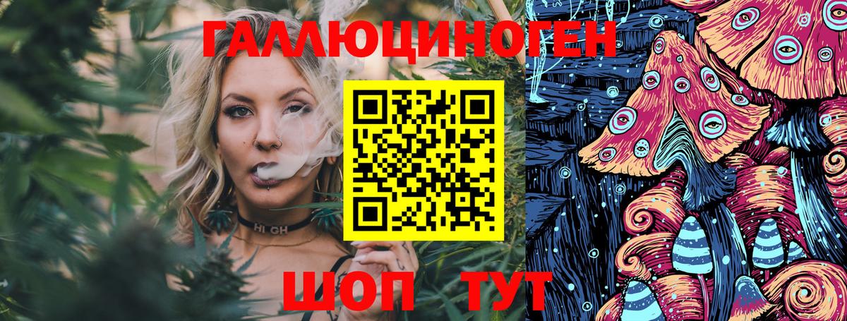 Псилоцибиновые грибы Psilocybine cubensis Лесозаводск