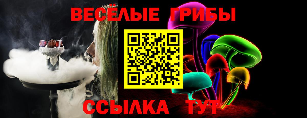 Галлюциногенные грибы Magic Shrooms  Вход с VPN  Галлюциногенные грибы Psilocybine cubensis  Лесозаводск 